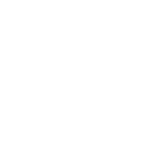 Aciona logo